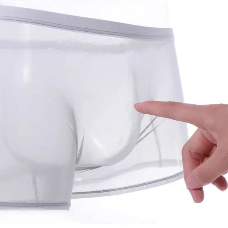 No-Chafe See-Through Ice Silk Mesh Trunks for Men (5-Pack) JEWYEE 1928