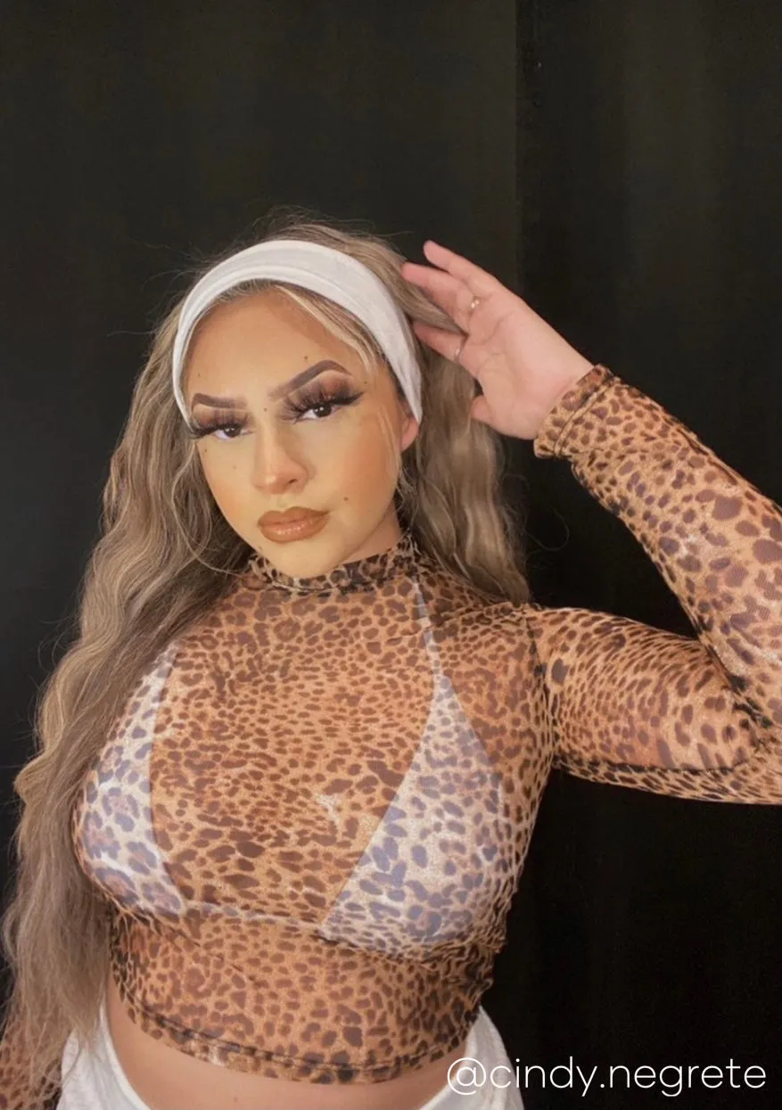 Oda Sheer Mesh Top - Leopard