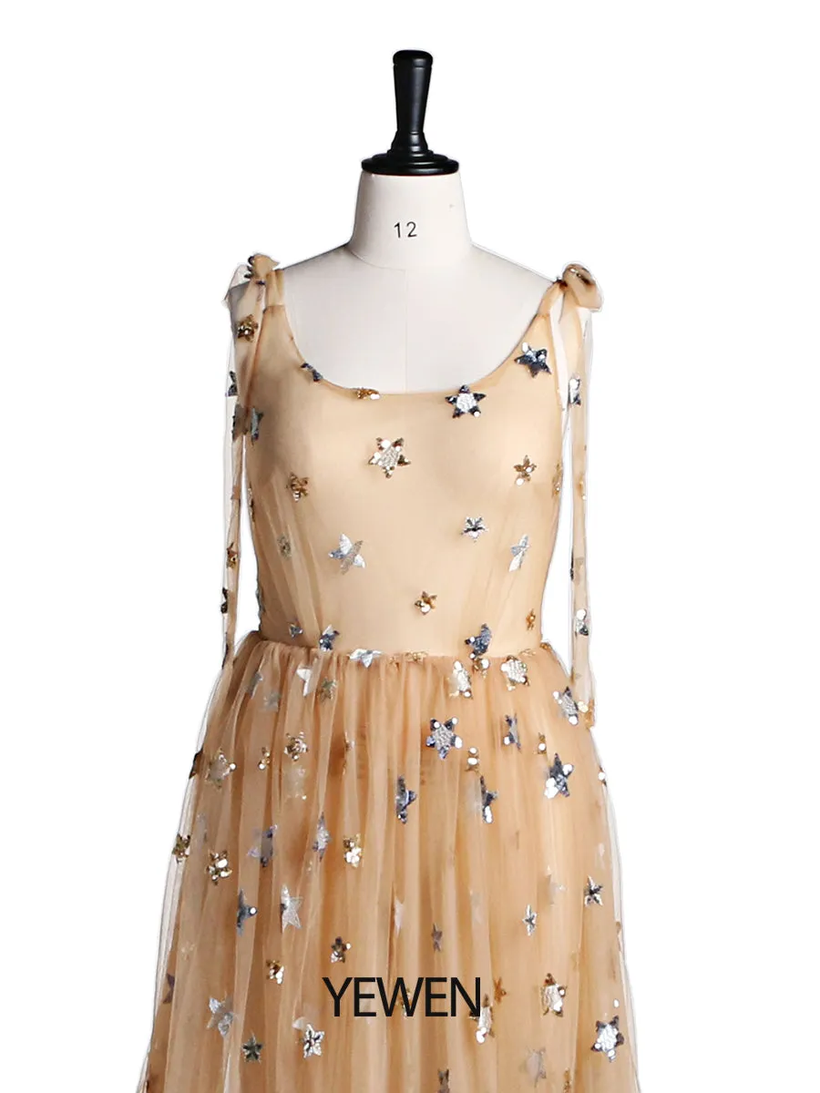 Sparkle Stars Sleeveless See Through Photo Shoot Dress Plus Size YEWEN YW2025
