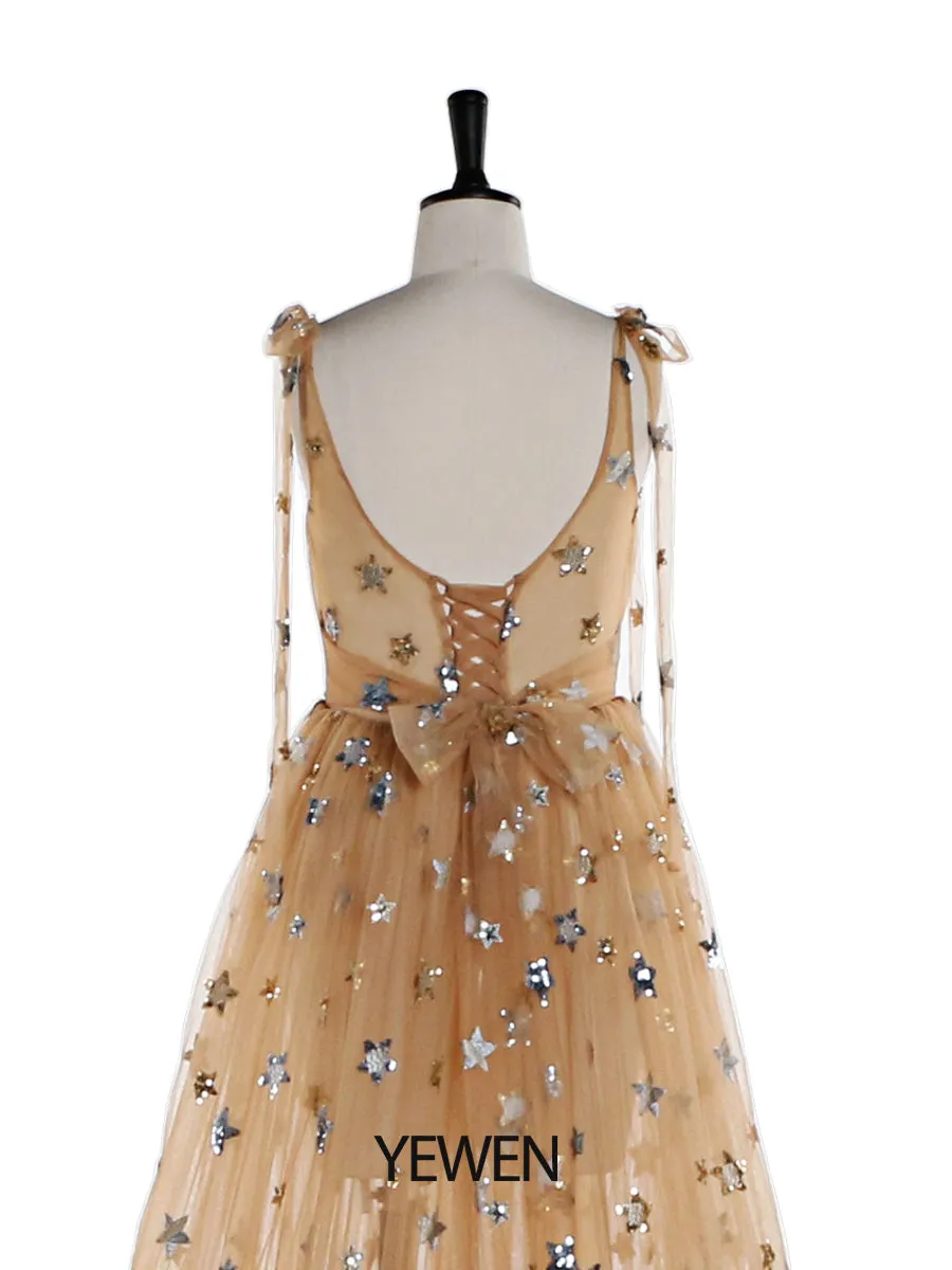 Sparkle Stars Sleeveless See Through Photo Shoot Dress Plus Size YEWEN YW2025