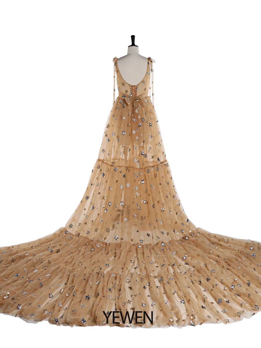 Sparkle Stars Sleeveless See Through Photo Shoot Dress Plus Size YEWEN YW2025