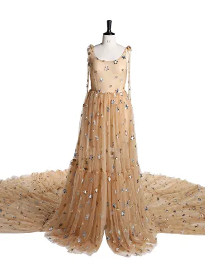 Sparkle Stars Sleeveless See Through Photo Shoot Dress Plus Size YEWEN YW2025